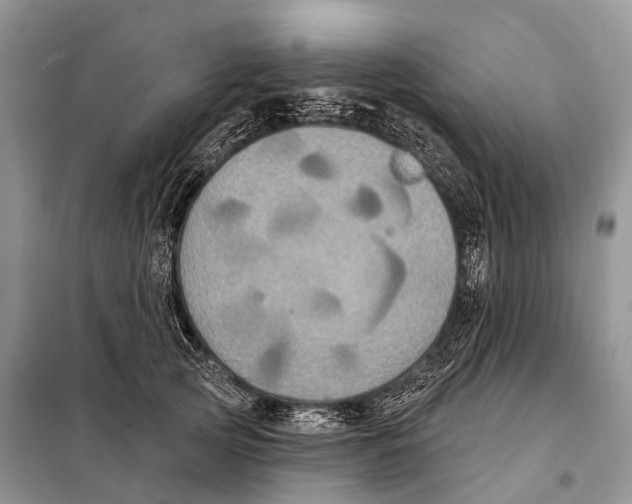 X0000097910753200804111112