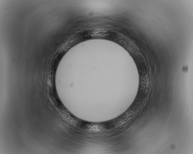 X0000097910755200804111112