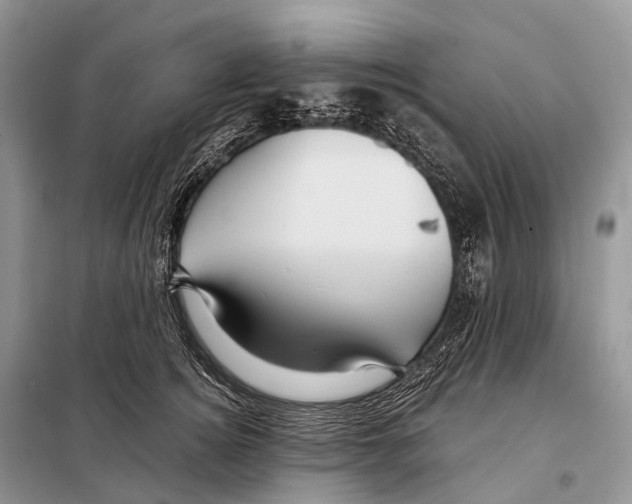 X0000097910756200804111112