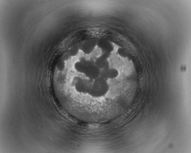 X0000097910757200804111112