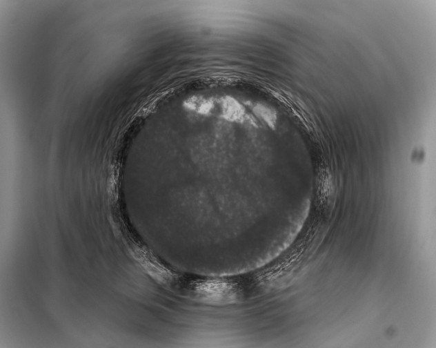 X0000097910759200804111112