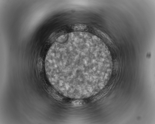 X0000097910761200804111113