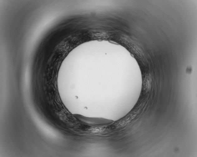 X0000097910764200804111113