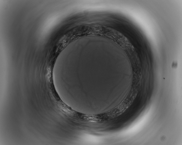 X0000097910767200804111113