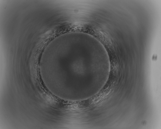 X0000097910769200804111112