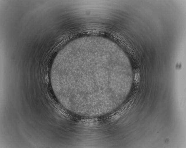 X0000097910771200804111112