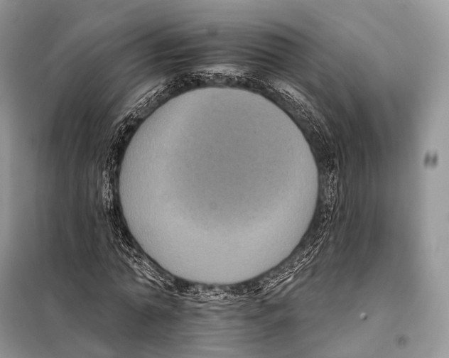 X0000097910774200804111112