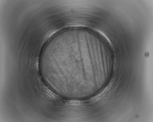 X0000097910777200804111112