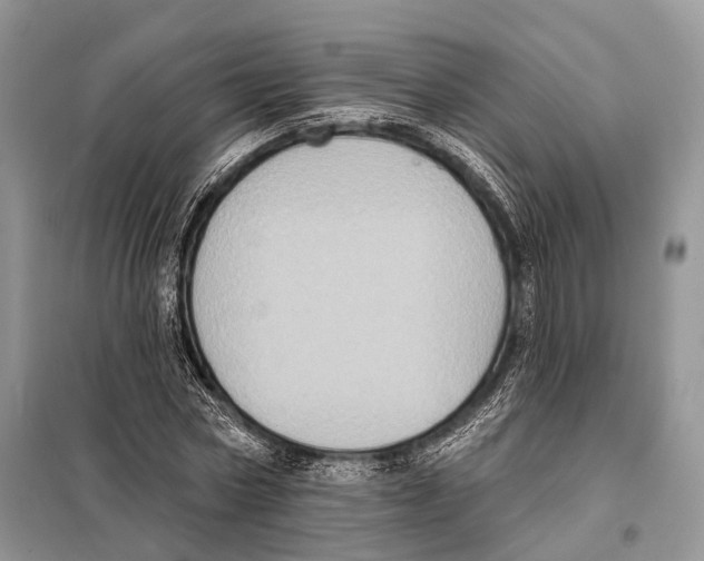 X0000097910778200804111112