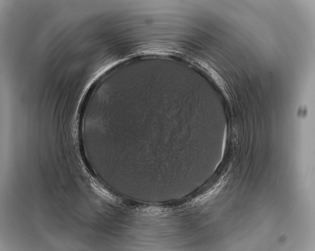 X0000097910779200804111112