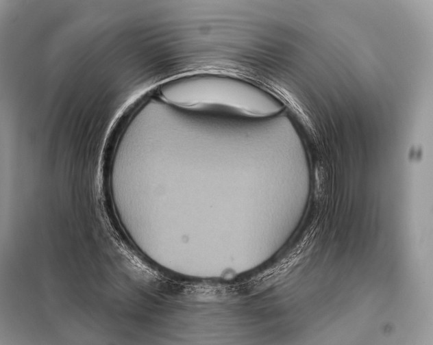 X0000097910780200804111112