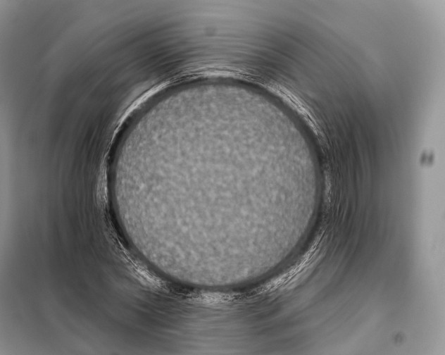 X0000097910782200804111112