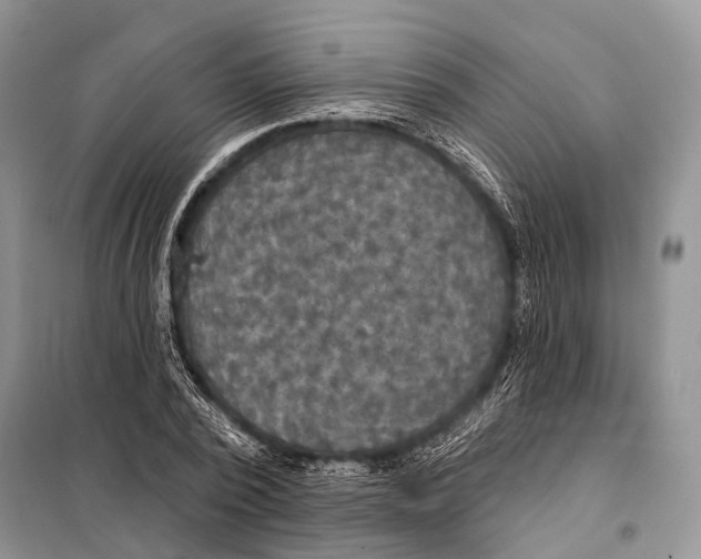 X0000097910784200804111112