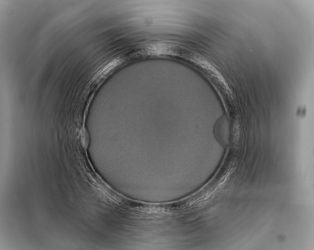 X0000097910785200804111112