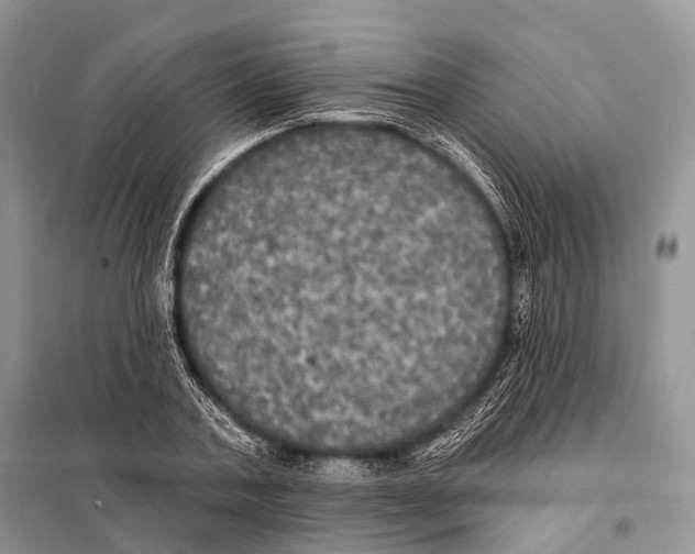 X0000097910787200804111112