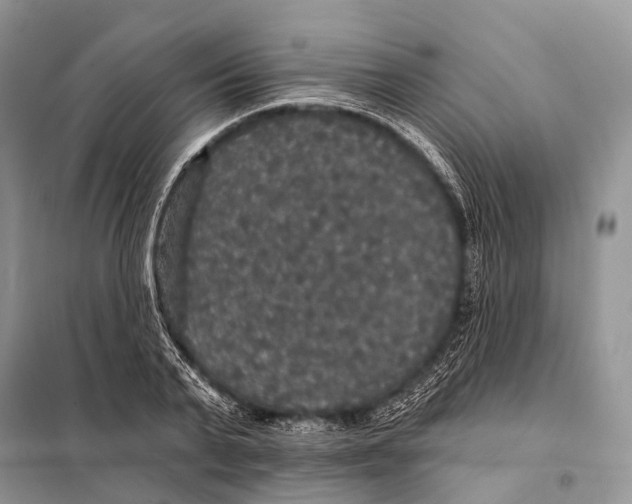 X0000097910791200804111111