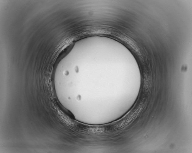 X0000097910793200804111111