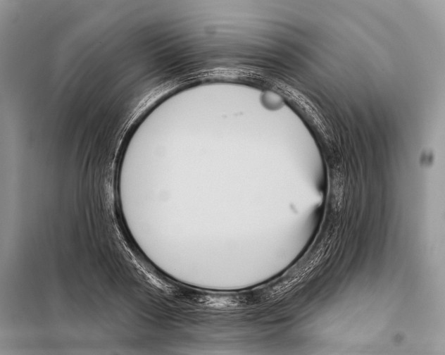 X0000097910794200804111111