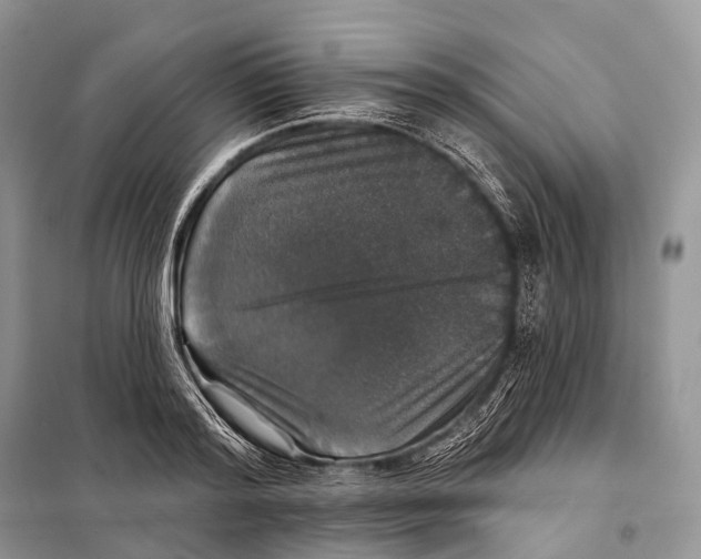 X0000097910796200804111111