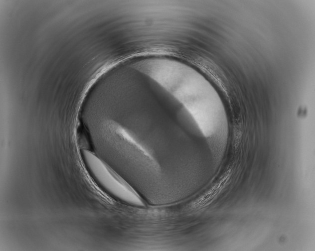 X0000097910797200804111111