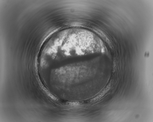 X0000097910798200804111111