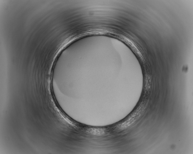 X0000097910802200804111111