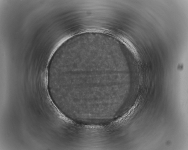 X0000097910804200804111111