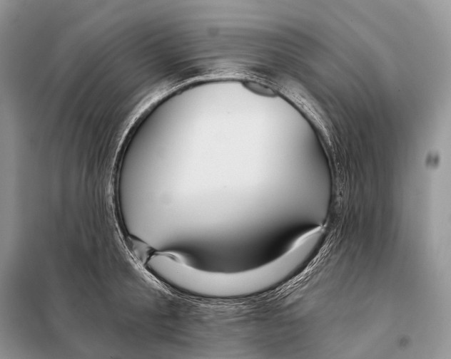 X0000097910805200804111111