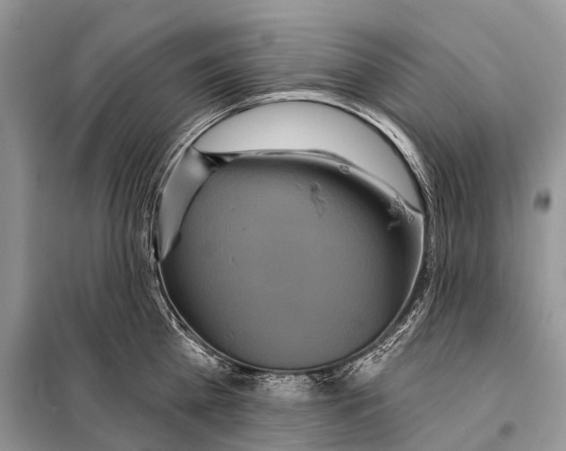 X0000097910809200804111111