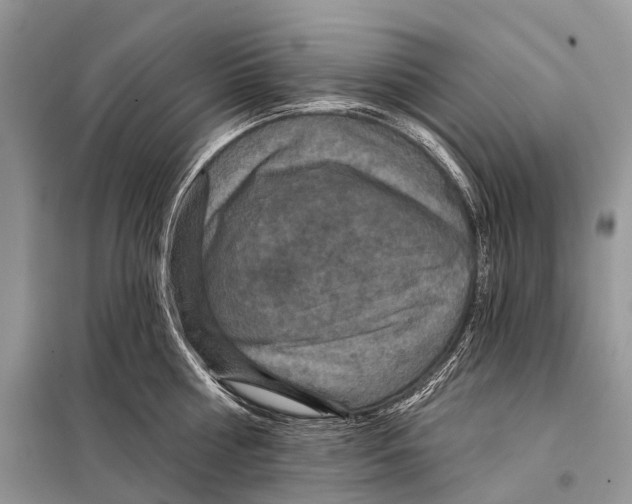 X0000097910810200804111111