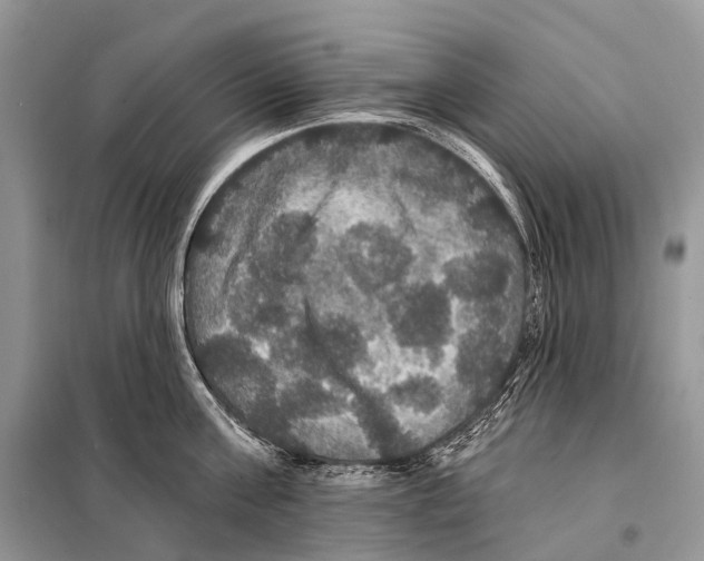 X0000097910811200804111111