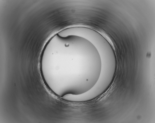 X0000097910813200804111111