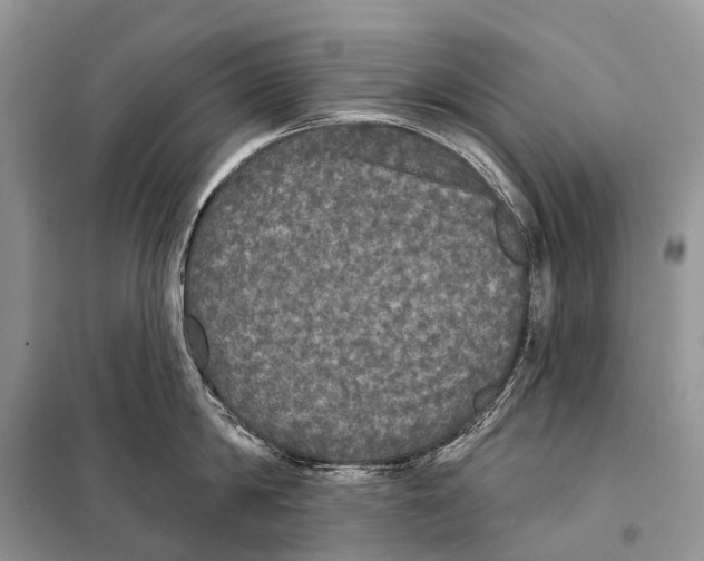 X0000097910814200804111111