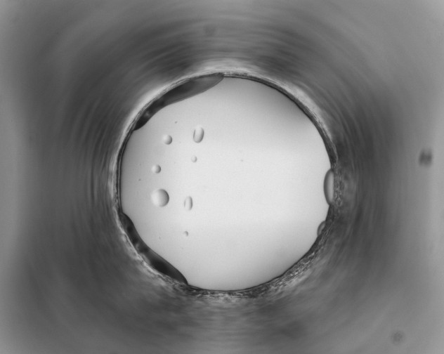 X0000097910815200804111111