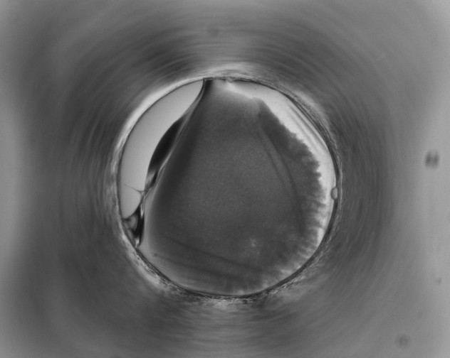 X0000097910816200804111111