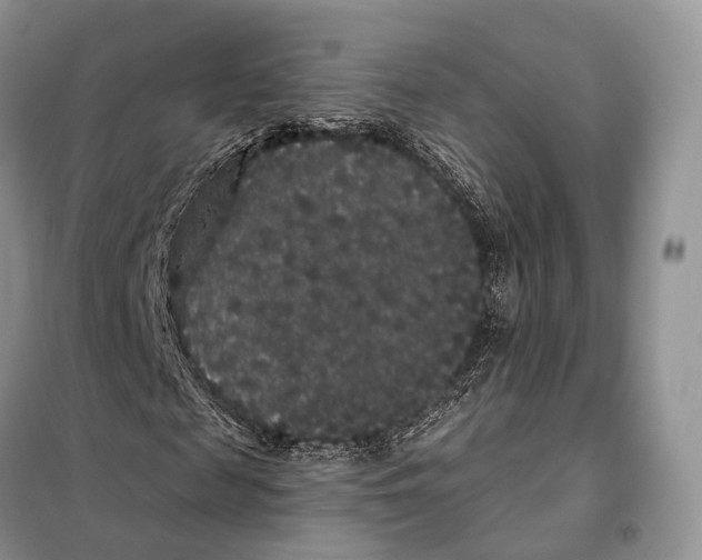 X0000097910817200804111110