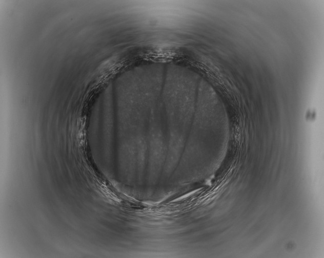 X0000097910818200804111110