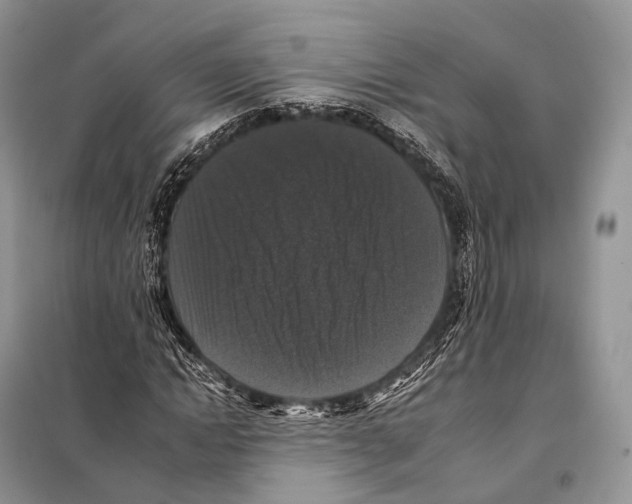 X0000097910822200804111110