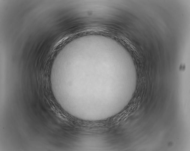 X0000097910824200804111110