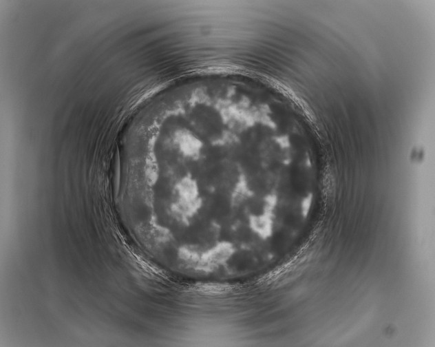 X0000097910825200804111110