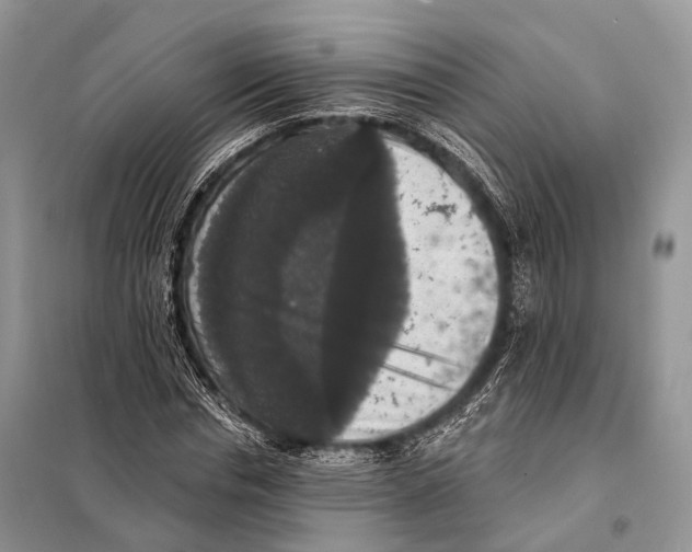 X0000097910826200804111110