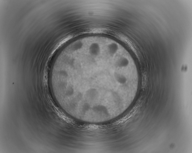 X0000097910827200804111110