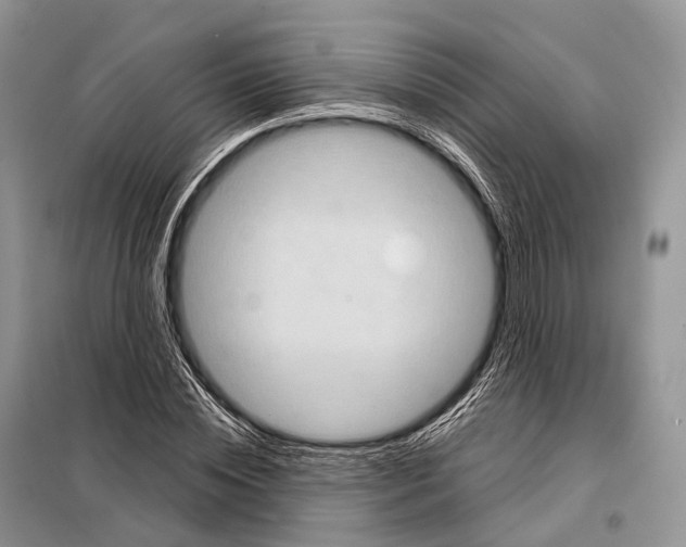 X0000097910828200804111110