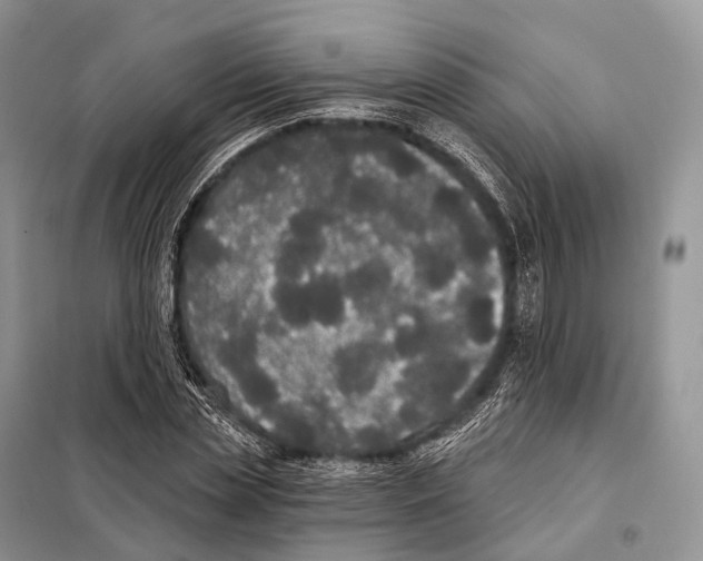 X0000097910829200804111110