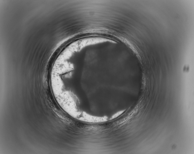 X0000097910830200804111110