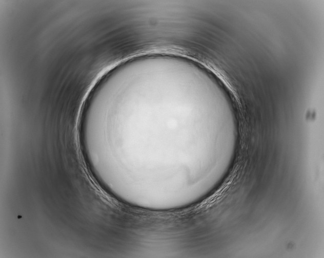 X0000097910832200804111110