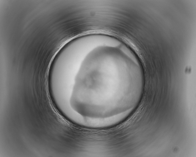 X0000097910836200804111111