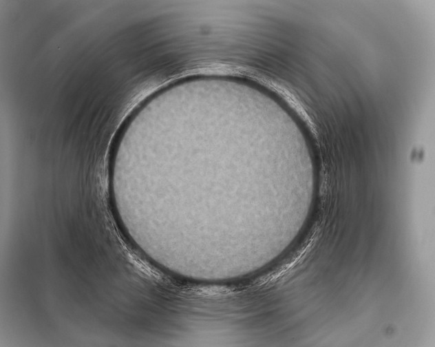 X0000097910837200804111111