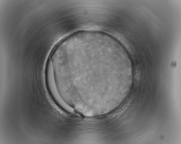 X0000097910840200804111111