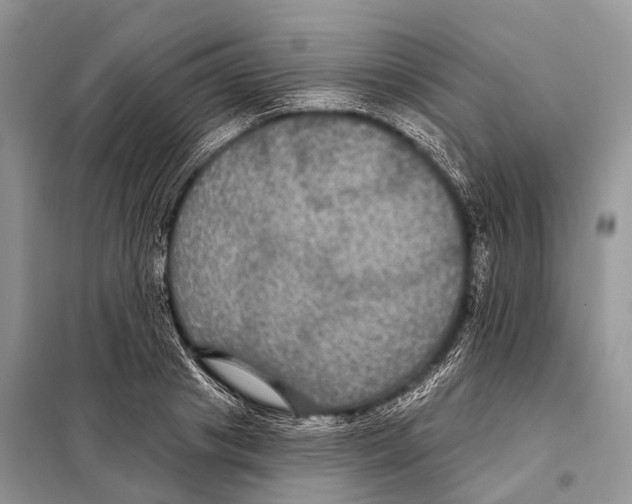 X0000097910841200804111111